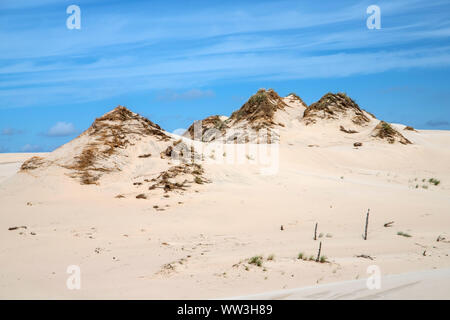 Wanderdünen im Slowinski Nationalpark, Polen Stockfoto