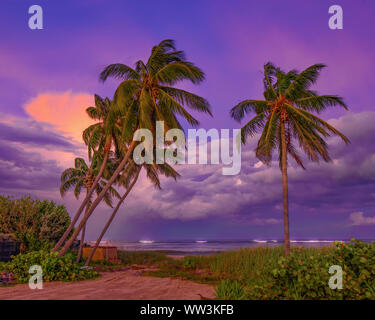 Die stürme Brauen über den Atlantischen Ozean vor der Küste von Fort Lauderdale Beach. Stockfoto