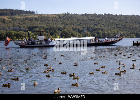 Der National Trust Steam Yacht Gondola, Coniston Water, Lake District, Cumbria, Großbritannien Stockfoto