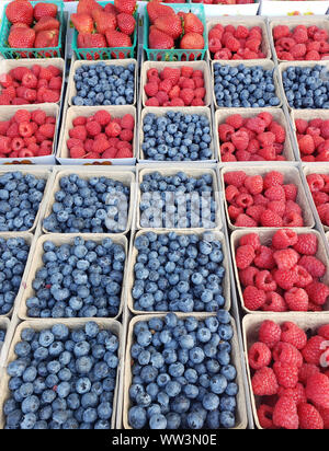 Wald Beeren auf der Theke Markt: Himbeere, Heidelbeere, Erdbeere Stockfoto