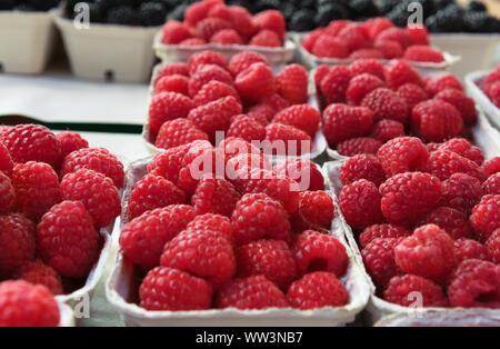 Rote Himbeeren in Körben auf einem stand auf einem Bauernmarkt Stockfoto