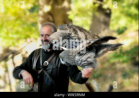 Eule in Burg und Festung Regenstein. Grabens der Eulen (Athene cunicularia) über die Ist-Barsch.. Stockfoto