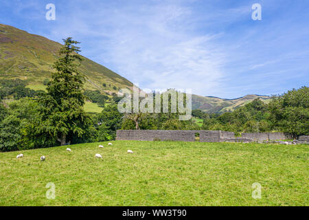 Niedriger Höhe drone Schießen über Felder mit Ruinen von verlassenen Gebäude. Dinas Mawddwy in Gwynedd, Wales Stockfoto