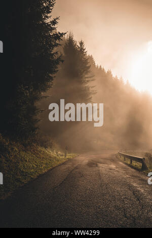 Forstweg durch Nebel, die aus schwerem Regen während des Sonnenuntergangs umgeben. Stockfoto