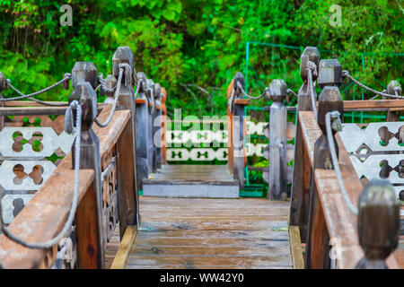 Blick auf die Straße durch eine hölzerne Hängebrücke mit Seil Seile, die zu einem Wald über eine Green mountain river. Das Konzept eines langen Weg zu einem Stockfoto