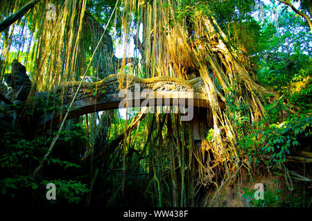 Dragon Bridge Heilige Affenwald in Ubud - Bali - Indonesien Stockfoto