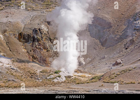 Dampf stieg von einem inaktiven Steamboat Geysir in der Norris Geyser Basin im Yellowstone National Park in Wyoming Stockfoto