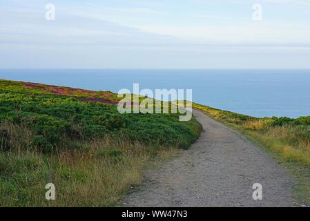 Felder von Heidekraut und andere Wildblumen auf einem Hügel in Howth, Irland Stockfoto