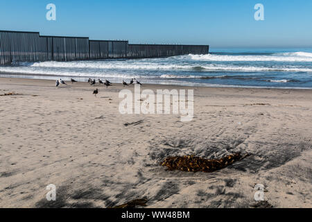Auf einem leeren Strand an der Grenze Feld State Park Seegras, mit der internationalen Grenze zwischen San Diego, Kalifornien von Tijuana, Mexiko. Stockfoto