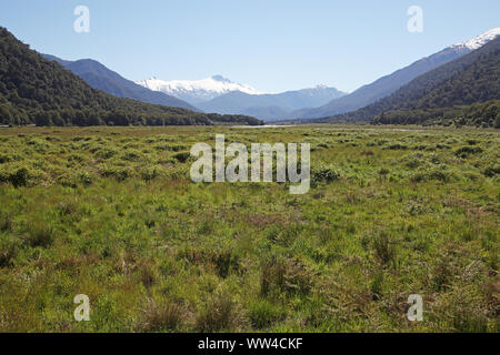 Angenehme Wohnungen mit Mount Hooker über Haast Valley South Island, Neuseeland Stockfoto