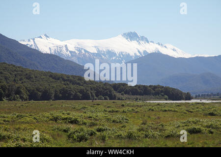 Angenehme Wohnungen mit Mount Hooker über Haast Valley South Island, Neuseeland Stockfoto