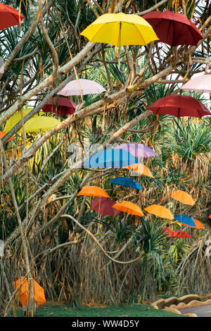 Bunte sonnenschirme Hintergrund. Bunte Sonnenschirme hängen von den Bäumen. Straße Dekoration. Stockfoto