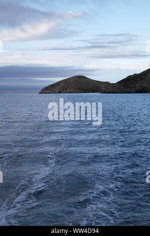 Taiaroa Head Otago Halbinsel Otago Harbour South Island, Neuseeland Stockfoto