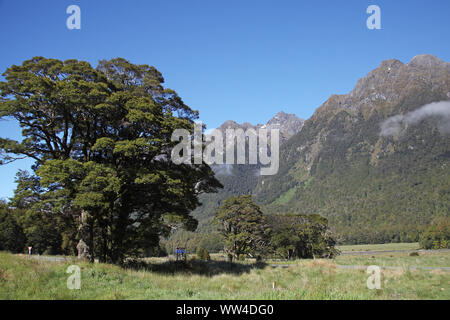 Knöpfe Flach zu Waitake Bergen South Island, Neuseeland Stockfoto