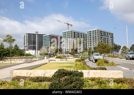 Macquarie Park in Ryde LGA Sydney, neue Hochhaus Wohneinheiten Wohnungen in diesem Vorort von Sydney, New South Wales, Australien Stockfoto
