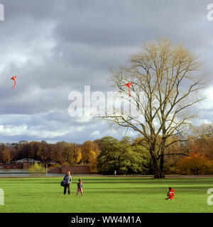 Drachen im Stadtpark Hamburg fliegen. Stockfoto