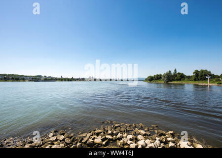 Mund der Main in den Rhein, hinter der Stadt Mainz in Rheinland-Pfalz, Blick von der Mainspitze in Ginsheim-Gustavsburg, Hessen, Deutschland Stockfoto