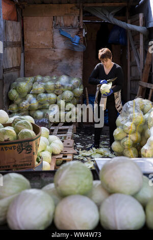 Dezerter Basar, von Tiflis größter Lebensmittelmarkt, Tsinamdzgvrishvili Straße, Tiflis, Georgien. Stockfoto