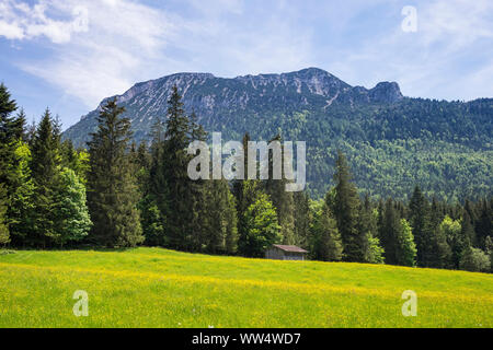 Staufengruppe mit Zwiesel, Ansicht von AdlgaÃŸ in der Nähe von Inzell, Chiemgau, Oberbayern, Bayern, Deutschland Stockfoto