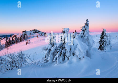 Sunrise, schneebedeckte Tannen, Bodenmaiser Riegel, Großer Arber, Naturpark Bayerischer Wald, Niederbayern, Bayern, Deutschland Stockfoto