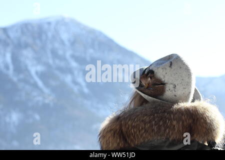 Junge Frau mit traditionellen bayerischen Hut und Pelzkragen im Alpenpanorama, Stockfoto