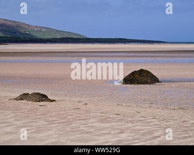 Irland, County Kerry, Dingle Halbinsel, direkt am Sandstrand der Bucht von Smerwick, Steine mit Algen Stockfoto