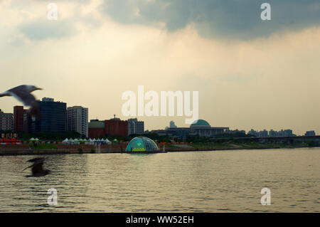 Hängen Sie den Fluss in Seoul am Abend mit Möwen Stockfoto