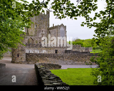 Irland, County Wexford, Tintern Abbey auf Haken Halbinsel, Zisterzienserkloster aus dem 12. Jahrhundert Stockfoto