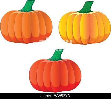 Satz von drei Kürbisse mit verschiedenen Farben, Vector Illustration zusätzliche Stock Vektor