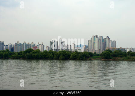 Hängen Sie den Fluss in Seoul am Abend mit Möwen Stockfoto