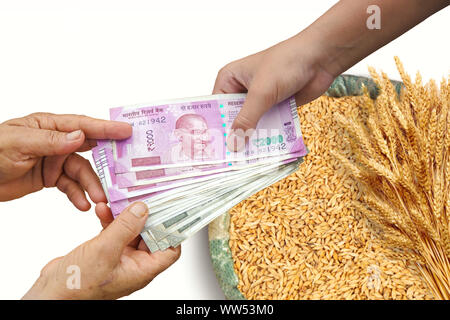 Bauern verkaufen Pflanzen, Hand geben Indische 500 und 2000 Rupien Banknoten über Beutel, Sackleinen, voll von Paddy-Reis. Stockfoto