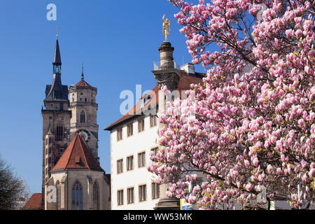 Das alte Büro und Abteikirche mit Magnolie, Stuttgart, Baden-Württemberg, Deutschland Stockfoto