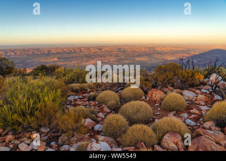 Mt Sonder Gipfel und spinifex Pflanzen bei Sonnenaufgang, West MacDonnell National Park, Northern Territory, Australien Stockfoto