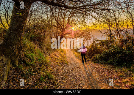 Frau wandern in einem Wald bei Sonnenuntergang, Gabicce Monte, Marken, Italien Stockfoto
