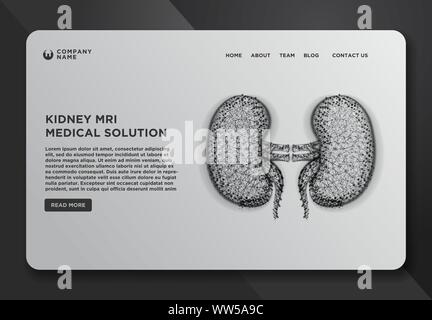 Web Page Design Vorlagen Sammlung von Niere menschlichen Nieren realistisch, abstrakte Drahtmodell aus Punkt- und Linien Design. Vector Illustration Stock Vektor