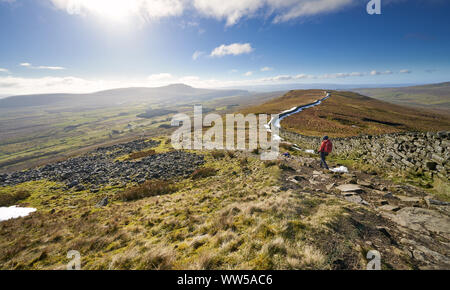 Ein Wanderer zu Fuß vom Gipfel des Whernside, Teil der Drei Zinnen mit Ingleborough Gipfel in der Ferne. Die Yorkshire Dales, England. Stockfoto