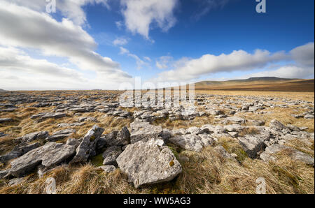 Blick auf den Gipfel des Ingleborough aus dem Kalkstein Formationen der lange Narbe in den Yorkshire Dales. Stockfoto