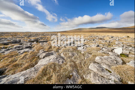 Blick auf den Gipfel des Ingleborough aus dem Kalkstein Formationen der lange Narbe in den Yorkshire Dales. Stockfoto