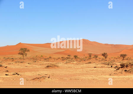 Rote Sanddünen, Sossusvlei, Namib Naukluft Park, Namibia Stockfoto