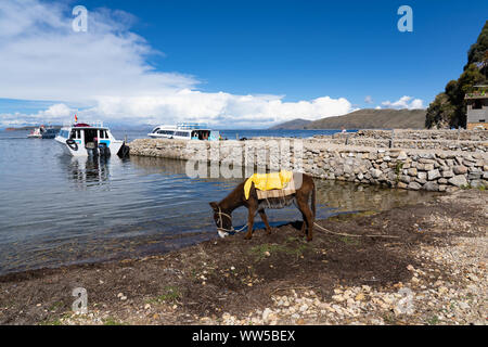 Copacabana am Titicacasee, Bolivien Stockfoto