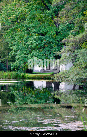 Einen alten Baum befindet sich in einem Park in einem Teich widerspiegelt, Stockfoto