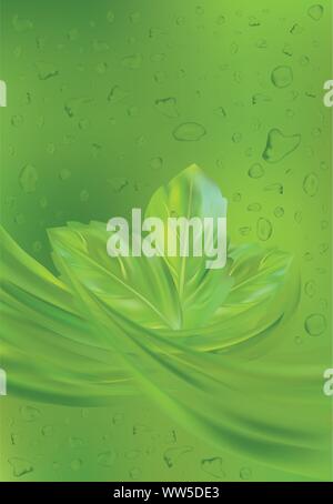 Trinken mit frischer Minze. 3D realistische Minze auf grünem Hintergrund zusammen mit Wasser. Tropfen Wasser mit Minze. Vector Illustration Stock Vektor