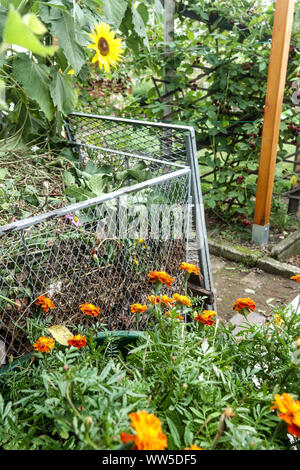 Kompost-Mülldraht in Allotationsgartenkompost-Pflanzen Stockfoto
