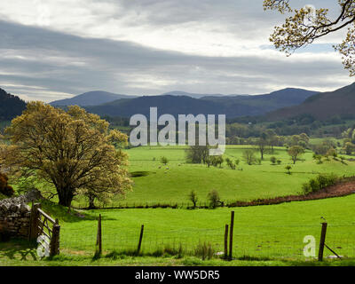 Frühling grüne Wiesen und Felder rund um swinside im Derwent Fells mit Castlerigg fiel in der Ferne. Lake District, England. Stockfoto