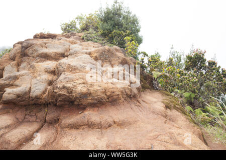 Berglandschaft im Hinterland, Kauai, Hawaii, USA Stockfoto