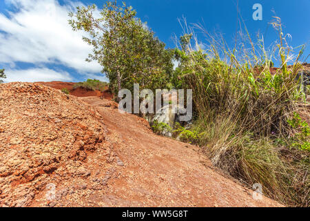 Berglandschaft im Hinterland, Kauai, Hawaii, USA Stockfoto