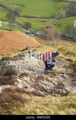 Ein Wanderer absteigend einen felsigen Weg hin zu niedrigen Snab unter Hindscarth im Lake District, England, UK. Stockfoto