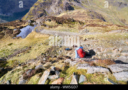 Eine weibliche Wanderer und ihrem Hund absteigend Ein steiniger Weg vom Gipfel des Hay Stacks im englischen Lake District. Stockfoto