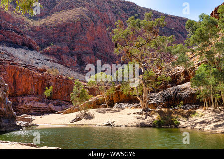 Wasser Loch in Lurline Schlucht West MacDonnell National Park, Northern Territory, Australien Stockfoto