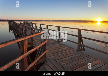 Naturschutzgebiet Federsee bei Sonnenaufgang, Federseemoor, in der Nähe von Bad Buchau, Oberschwaben, Baden-Württemberg, Deutschland Stockfoto